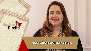 Explica Direito Filiação Socioafetiva  2019 [upl. by Knox]