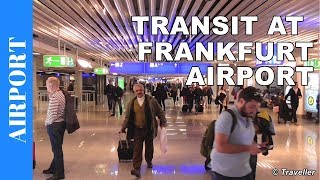 TRANSIT WALK AT FRANKFURT Airport FRA Terminal 1  Connection Flight Transfer Arriving amp Departing [upl. by Polard]